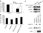 Figure 3 - Unfortunately we are unable to provide accessible alternative text for this. If you require assistance to access this image, please contact help@nature.com or the author